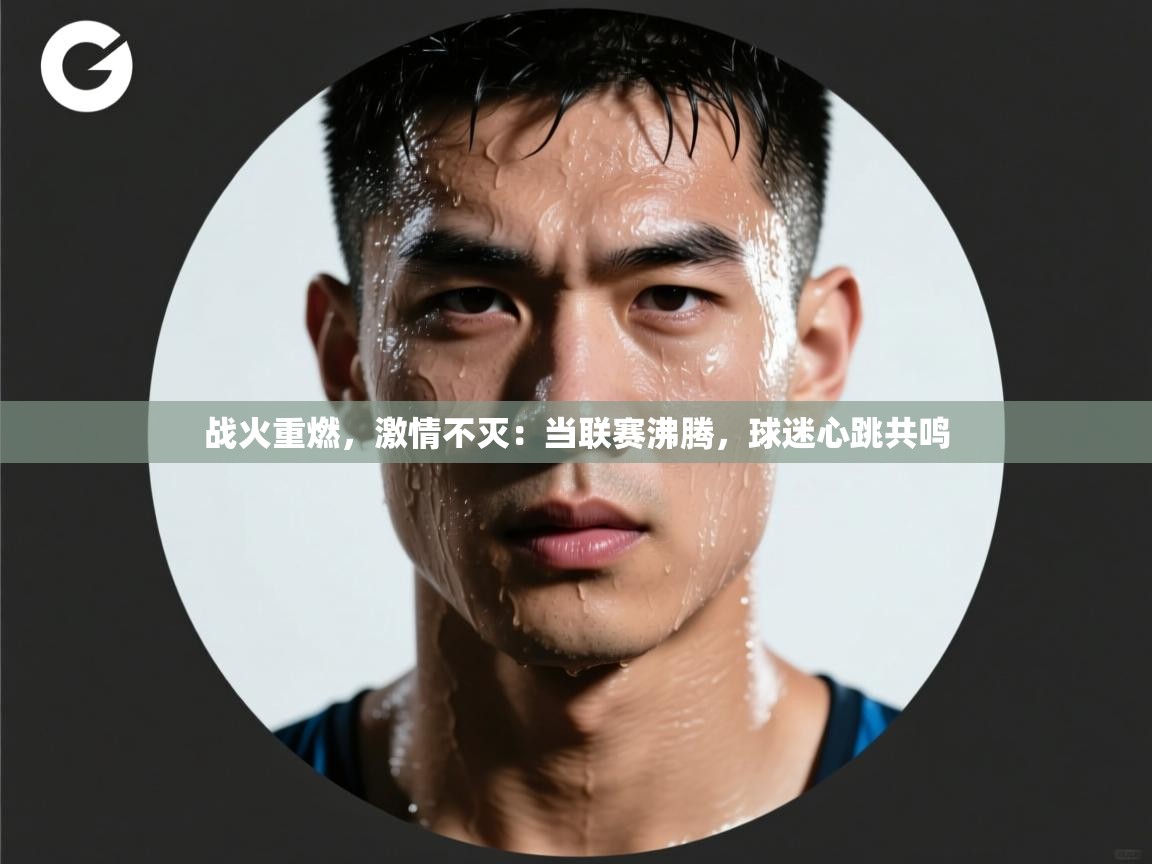 战火重燃，激情不灭：当联赛沸腾，球迷心跳共鸣  第1张