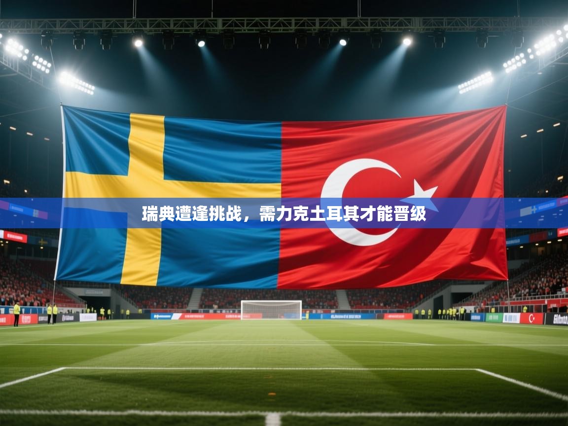 瑞典遭逢挑战，需力克土耳其才能晋级  第1张