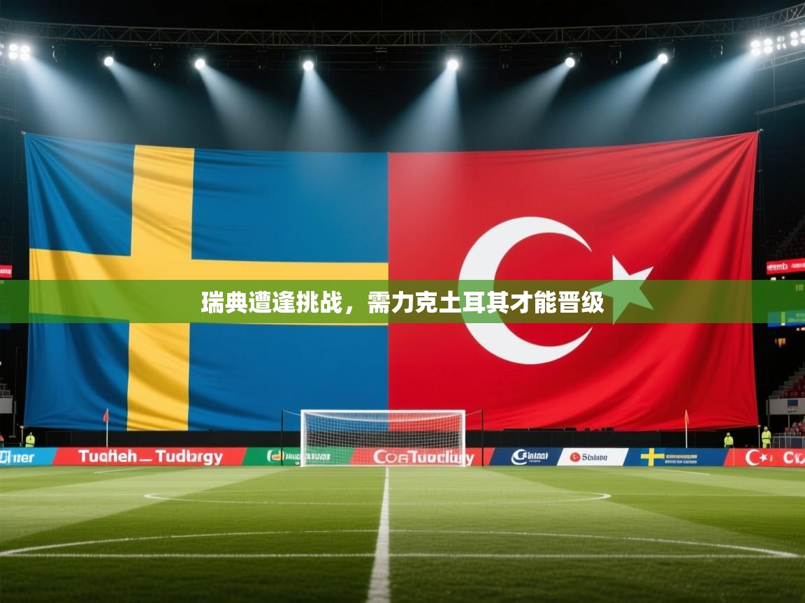 瑞典遭逢挑战，需力克土耳其才能晋级  第2张