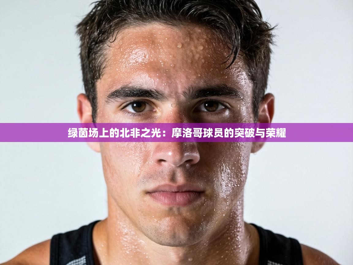 绿茵场上的北非之光:摩洛哥球员的突破与荣耀 第1张