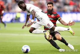 爱游戏电竞-西悉尼流浪者技战术演练密集，冲刺冠军全力以赴